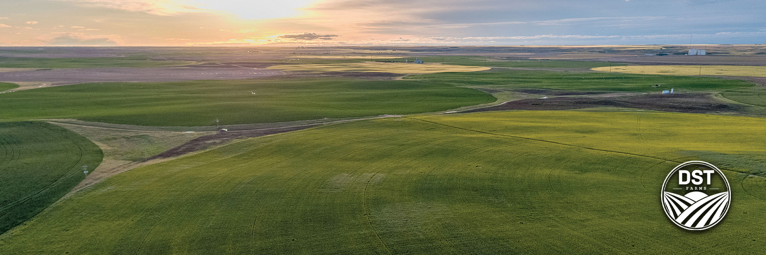 dst_farms's profile banner image