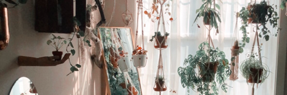 Rachel Reid 🏳️‍🌈 banner