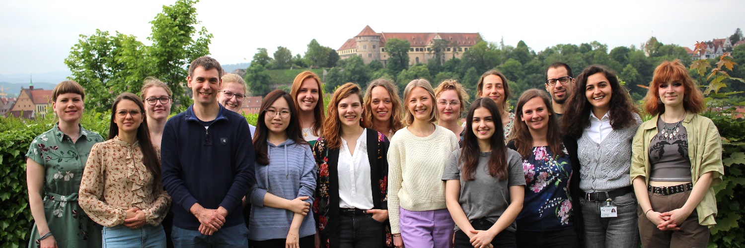 Affective Functioning, Hormones and the Brain banner