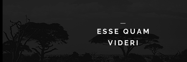 SBenjaminTraor1 Profile Banner