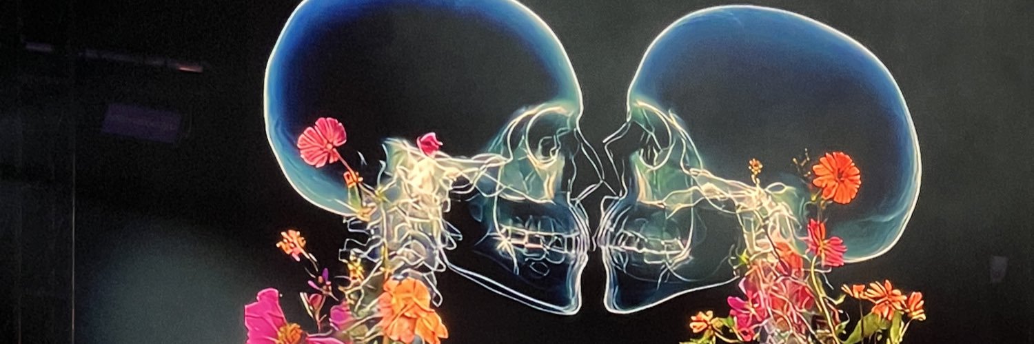 verosarar_'s profile banner image