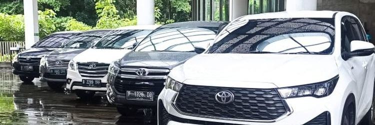 Tanya Mobil 💚's banner