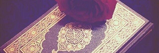 dammam89's profile banner image