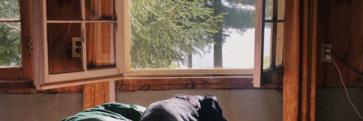auttuuummn's profile banner image