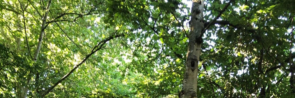 xyz banner