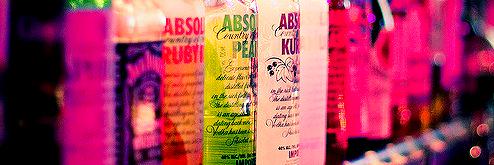 sofia_alfaror's profile banner image