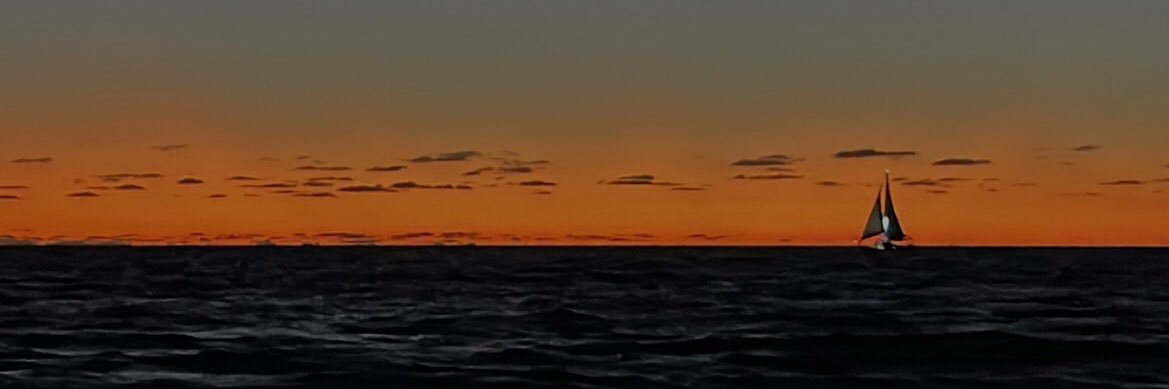 fernandamunozzz's profile banner image