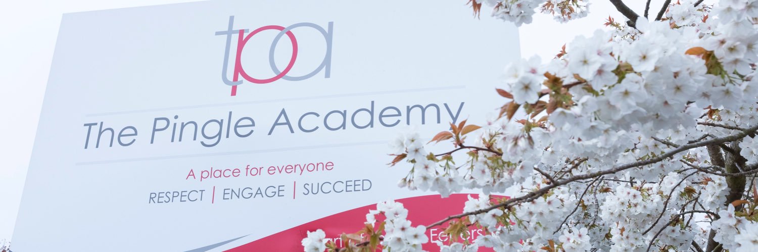PingleAcademy's profile banner image