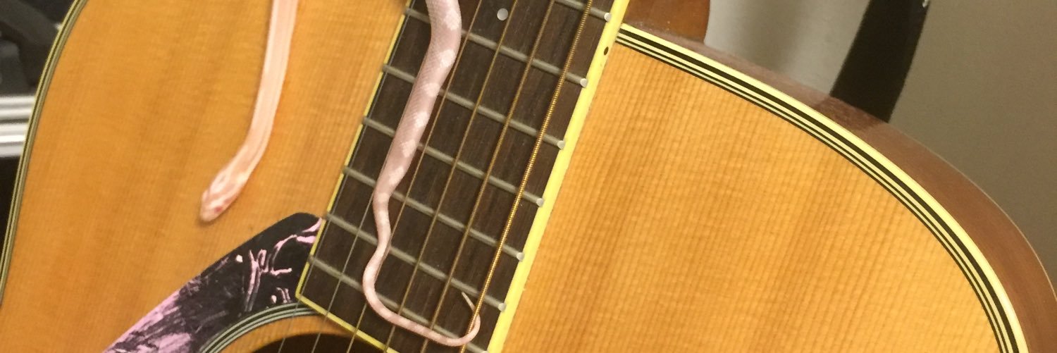 1130Endo's profile banner image