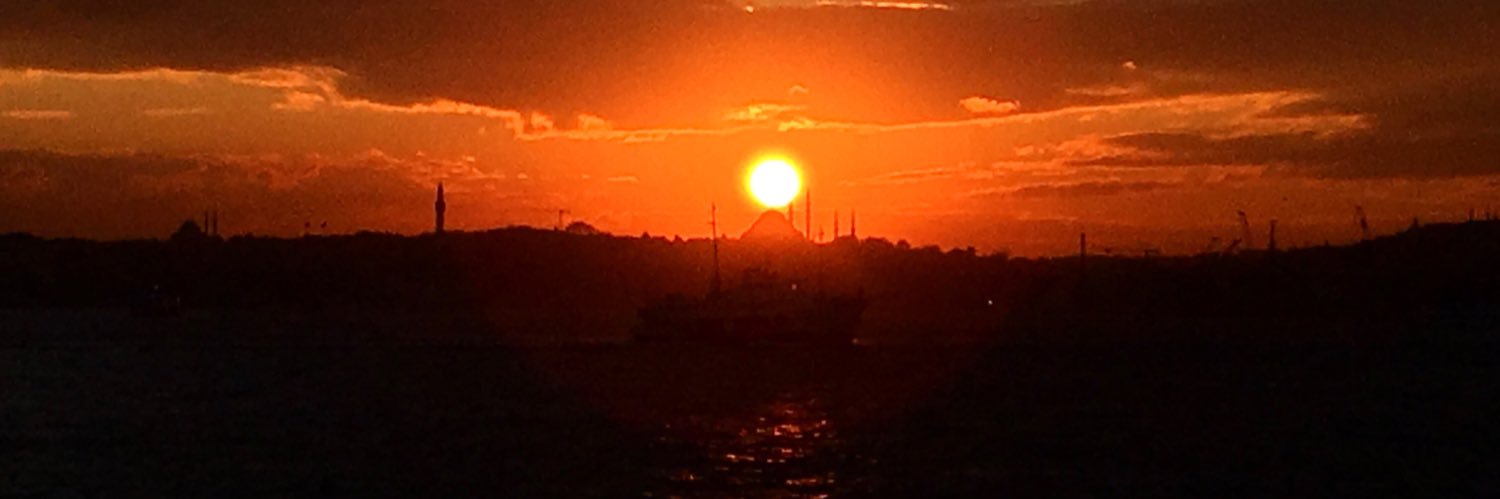 Gökhan Temel banner