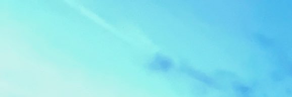 colt banner