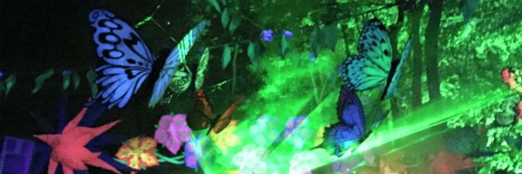 DarcieCoombs's profile banner image