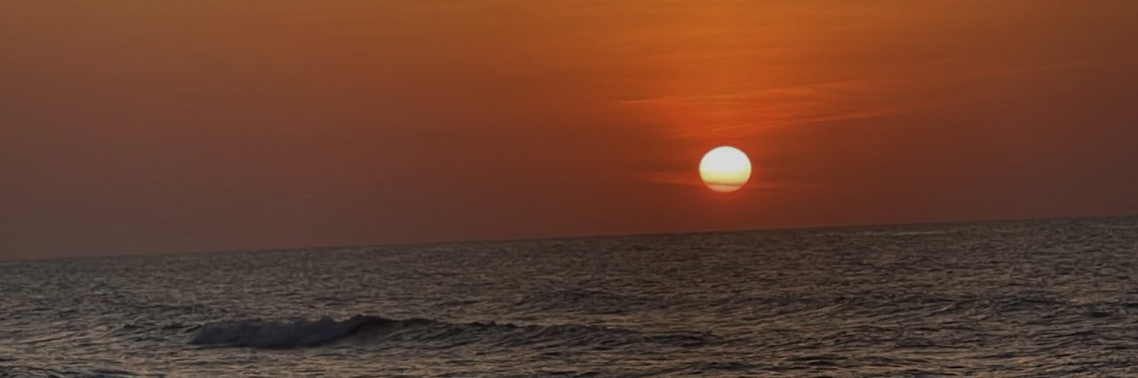michellecarrer's profile banner image