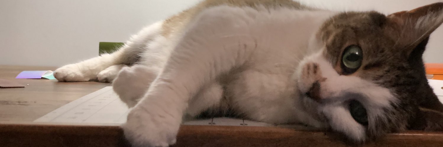 ShellebeeGD's profile banner image