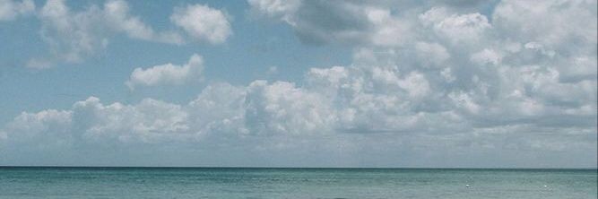 Beryl 🧶's banner