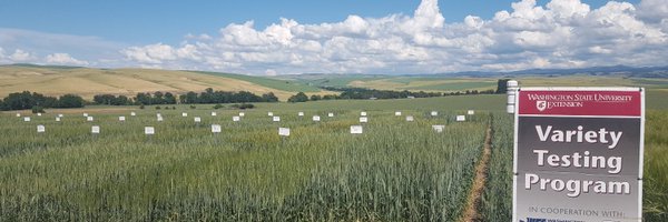 WSUVarietyTest Profile Banner
