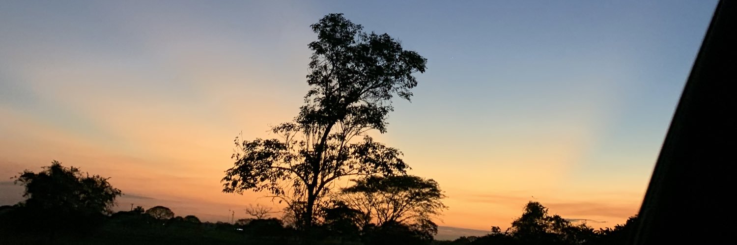 Elena🧸❤️ banner