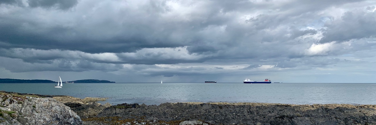 Lesley Crawshaw banner