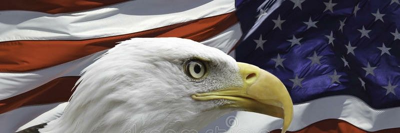 Aussie4Beer34's profile banner image