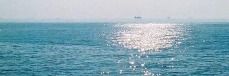 ssaa12345AS's profile banner image