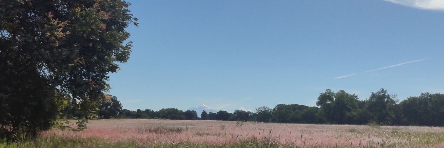 zeleny27's profile banner image