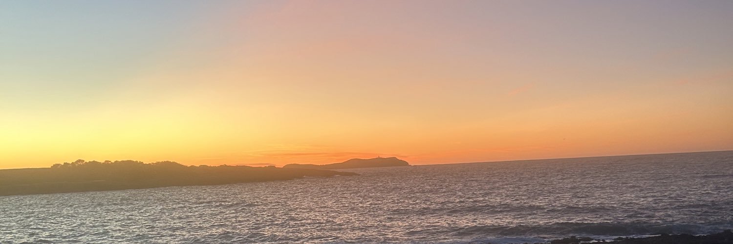 lisawelsh12's profile banner image