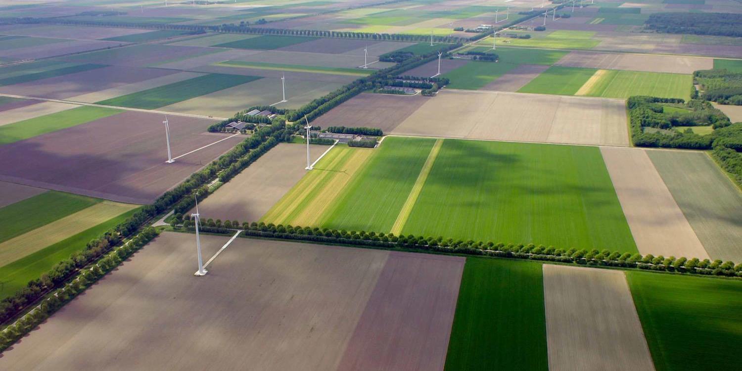 NMF Flevoland banner