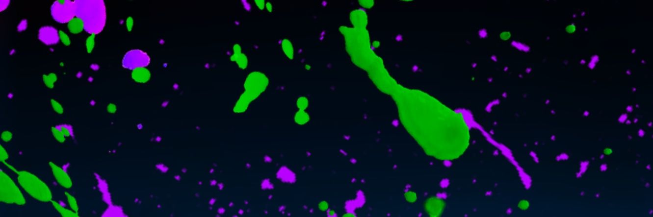 Sean_Garbe's profile banner image