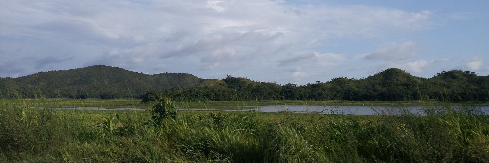 Laura D'Vasquez banner