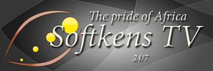 softkenstele's profile banner image