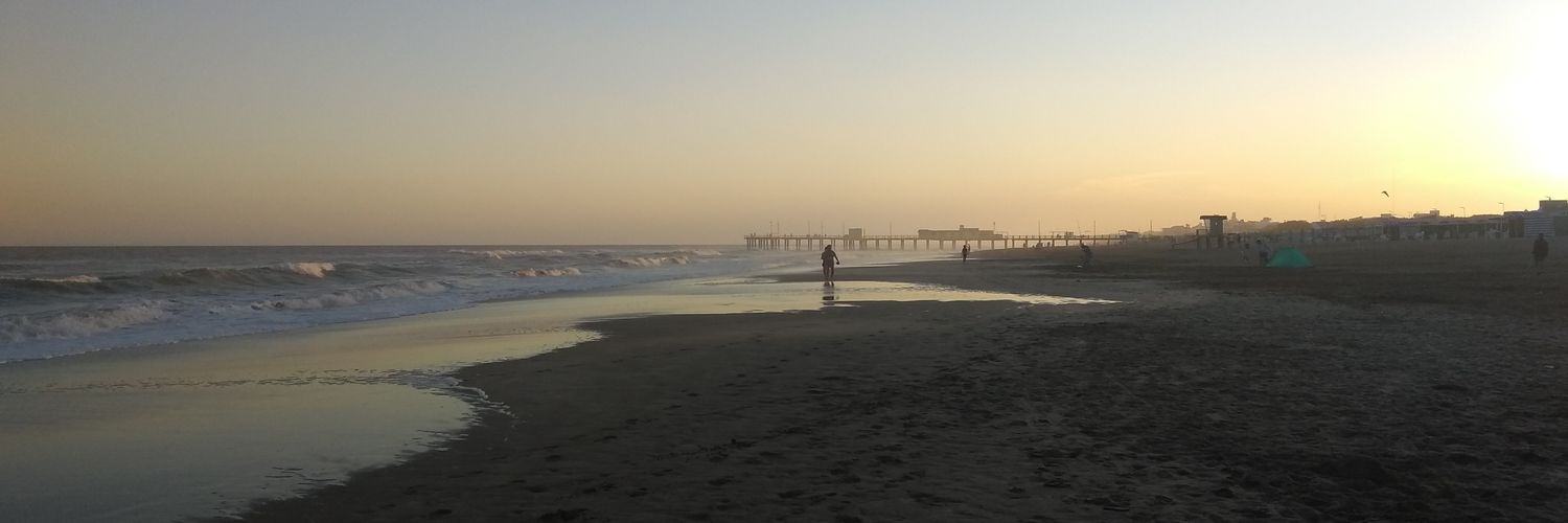 Laura F Belli banner