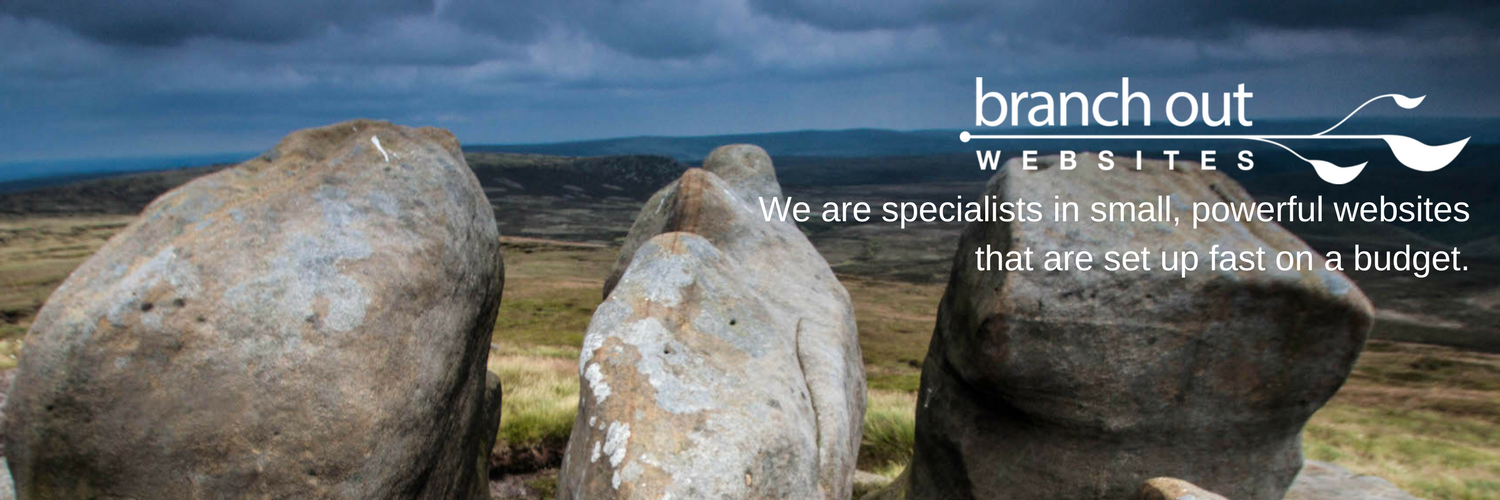 branchoutwebs's profile banner image