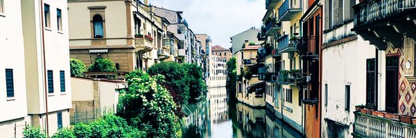 jenny_shell Profile Banner