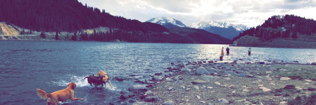 ChancewithaZ's profile banner image