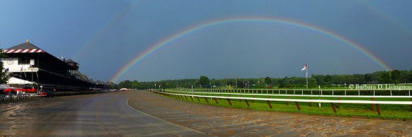 DRFLivingston Profile Banner