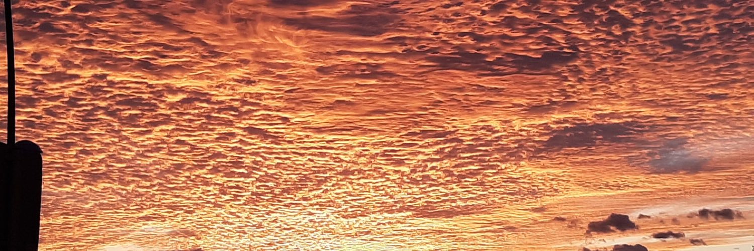 PilarFerrero2's profile banner image