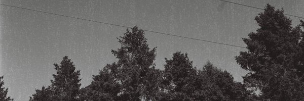 EvanCahilll Profile Banner