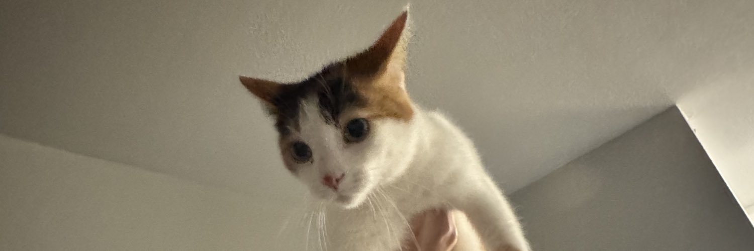 rhobbiii's profile banner image