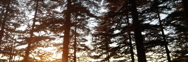 Amit___97 Profile Banner