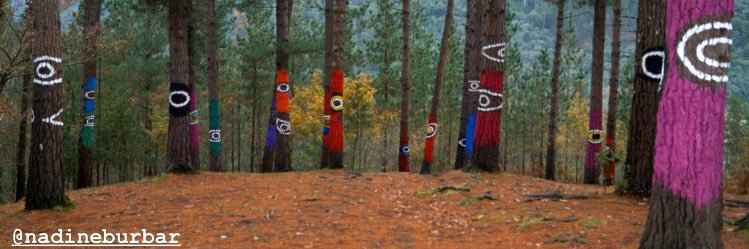 Nadine Burbar banner