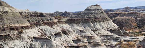 BargainRick Profile Banner