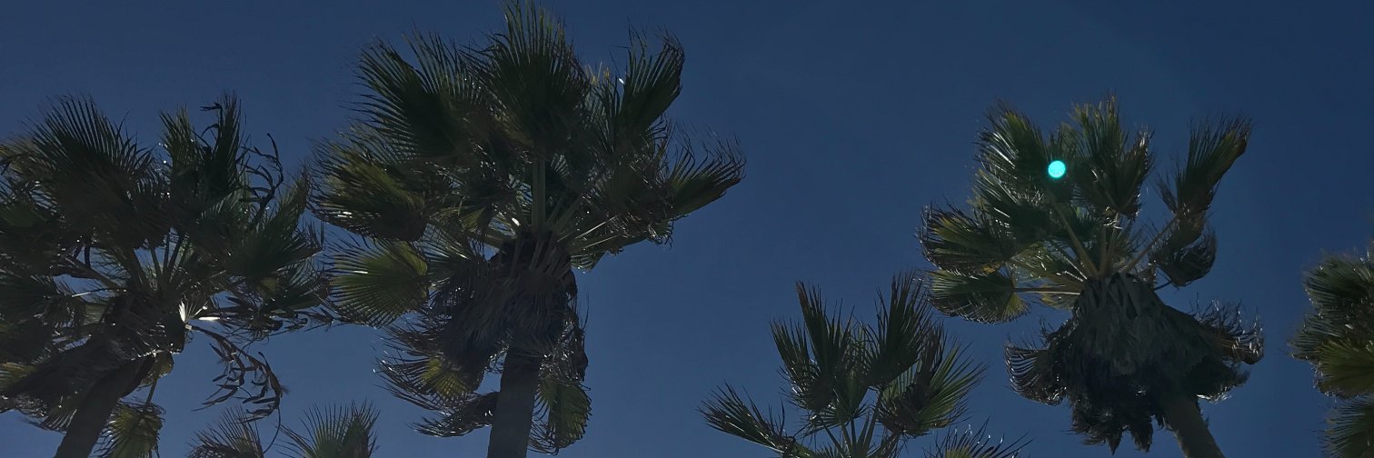 klaudiadraber's profile banner image