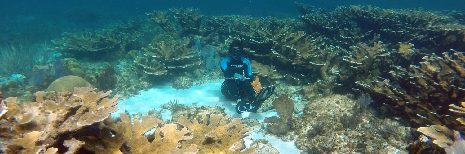 Kelly Gómez-Campo banner