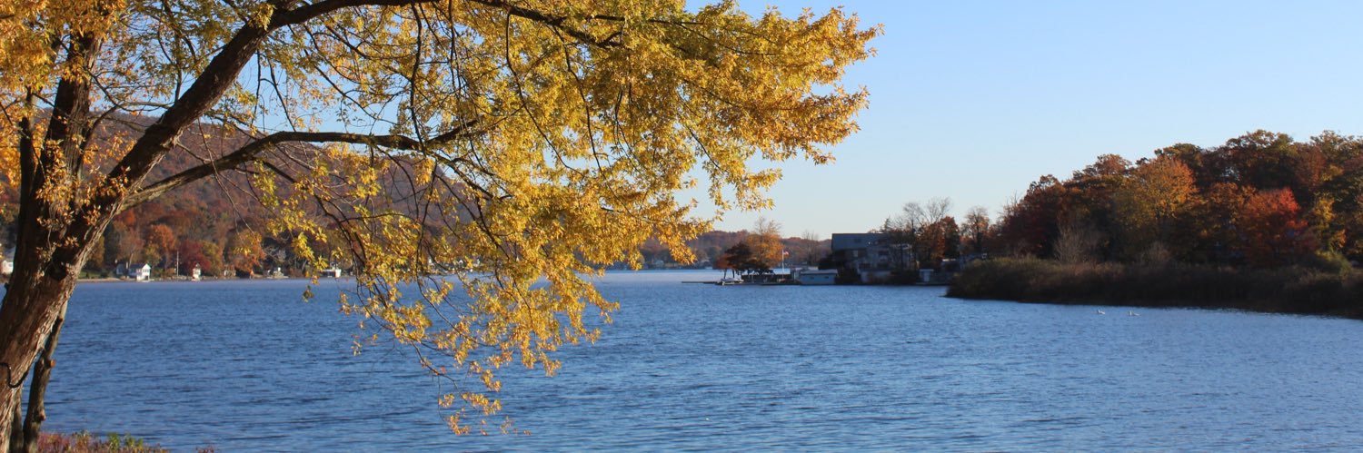 Kelly Reynolds banner