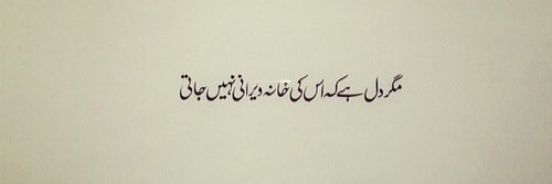 Haseeb_Nazir's profile banner image