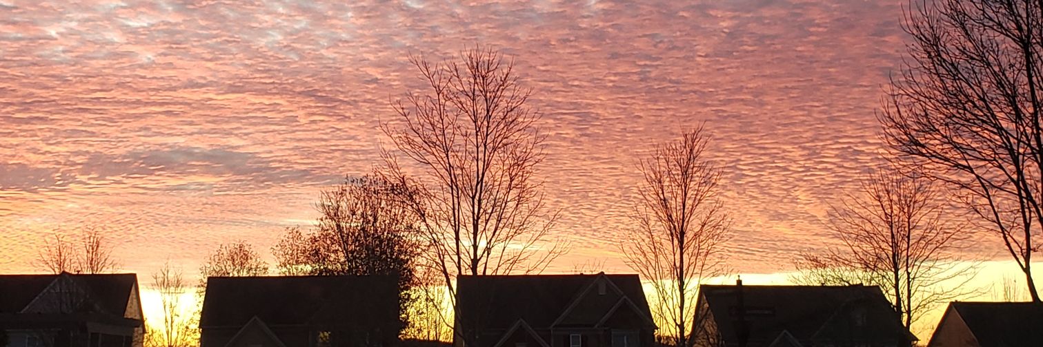 I have a thought about that... banner