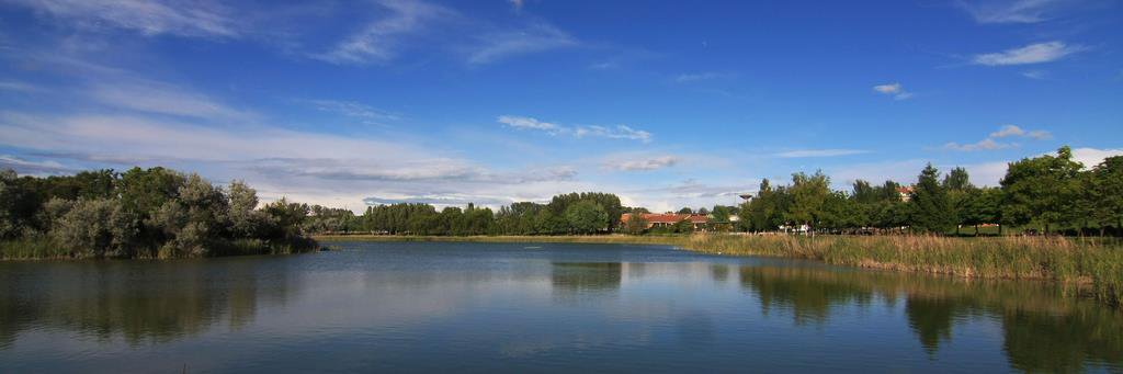 Fernando JMM #FuckWar💔✊💜 banner