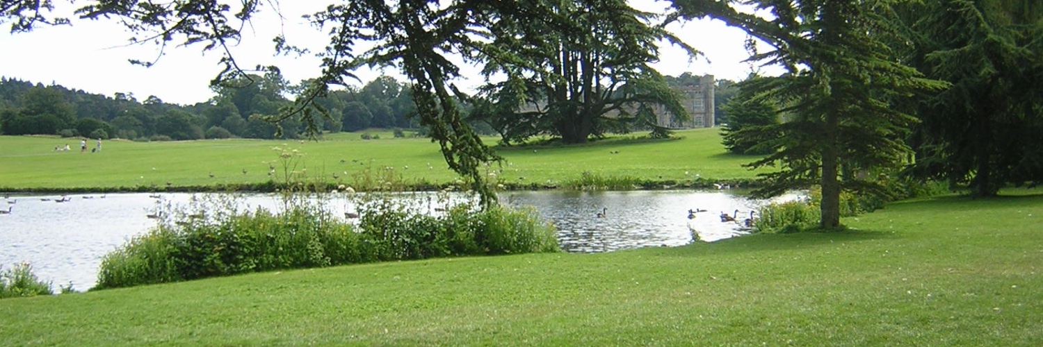 Ana Olea Fernandez banner