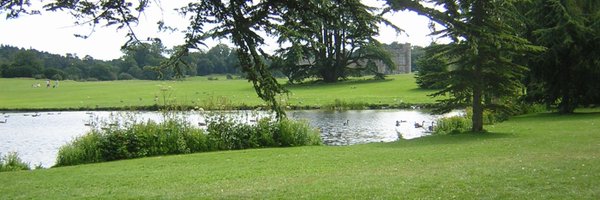 analea77 Profile Banner