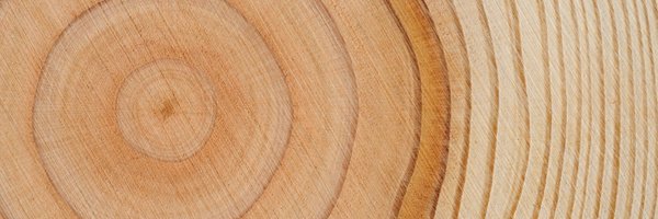 MaghicU Profile Banner